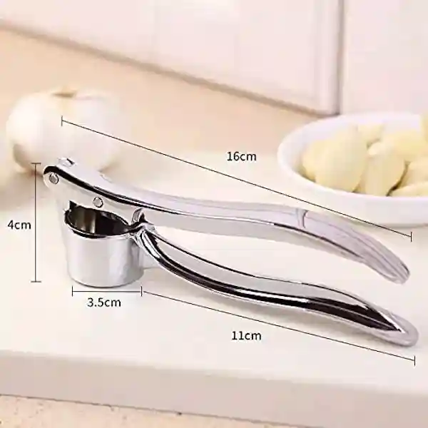 Stainless Steel Garlic/Ginger Crusher