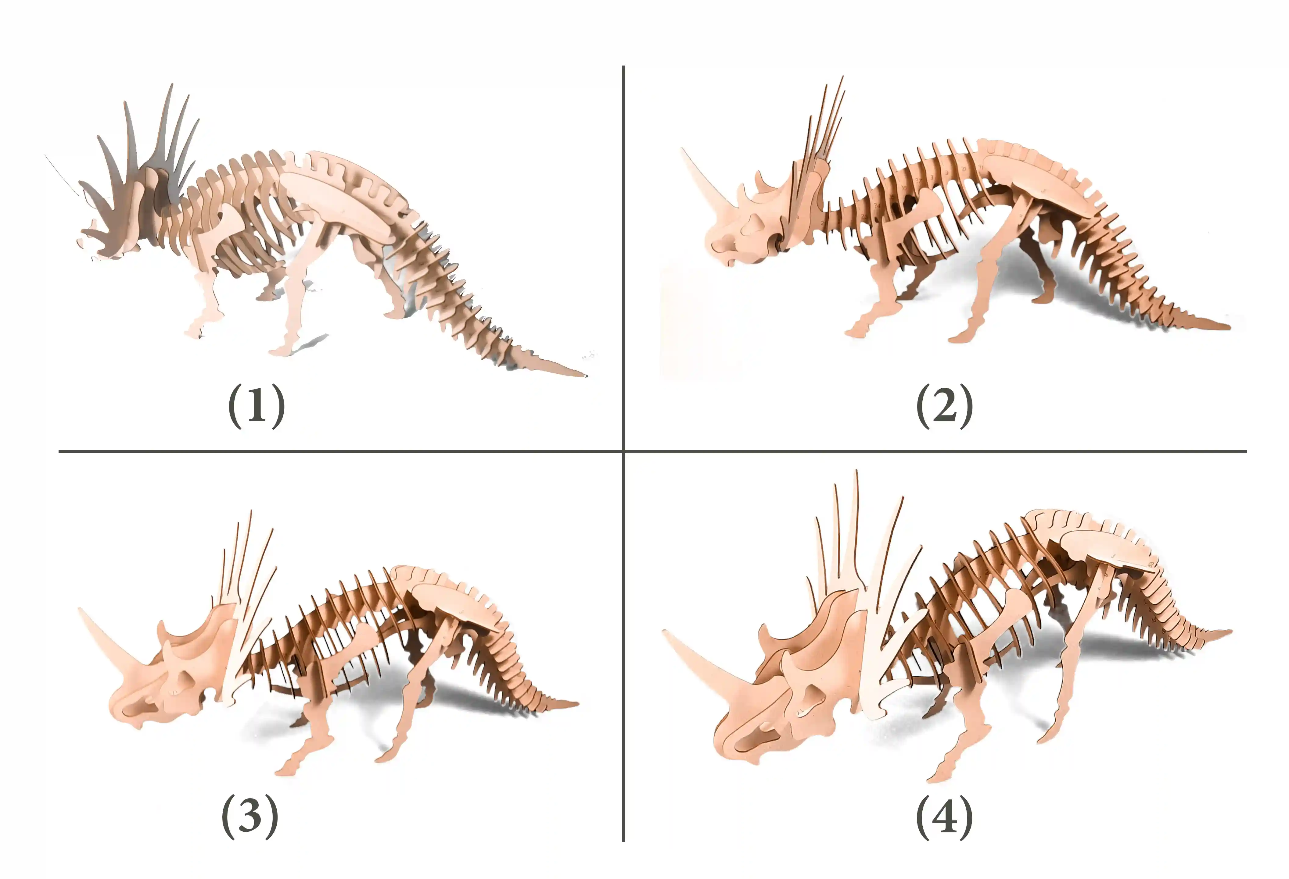 3D Model of styracosaurus dinosaur in form of puzzle DIY KIT