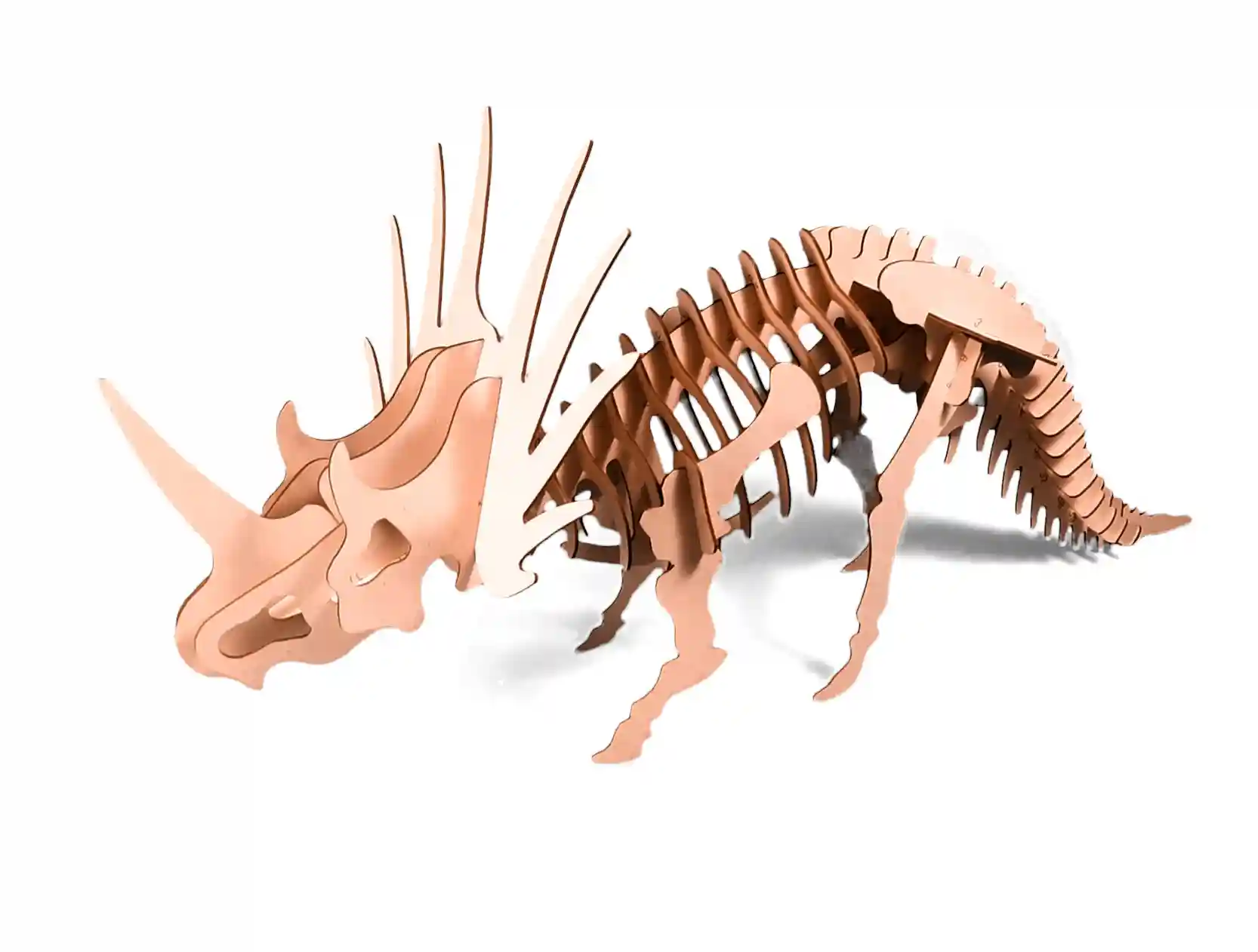 3D Model of styracosaurus dinosaur in form of puzzle DIY KIT