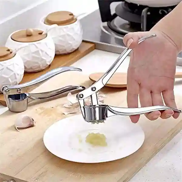 Stainless Steel Garlic/Ginger Crusher