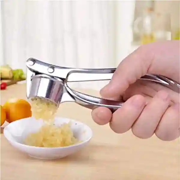Stainless Steel Garlic/Ginger Crusher