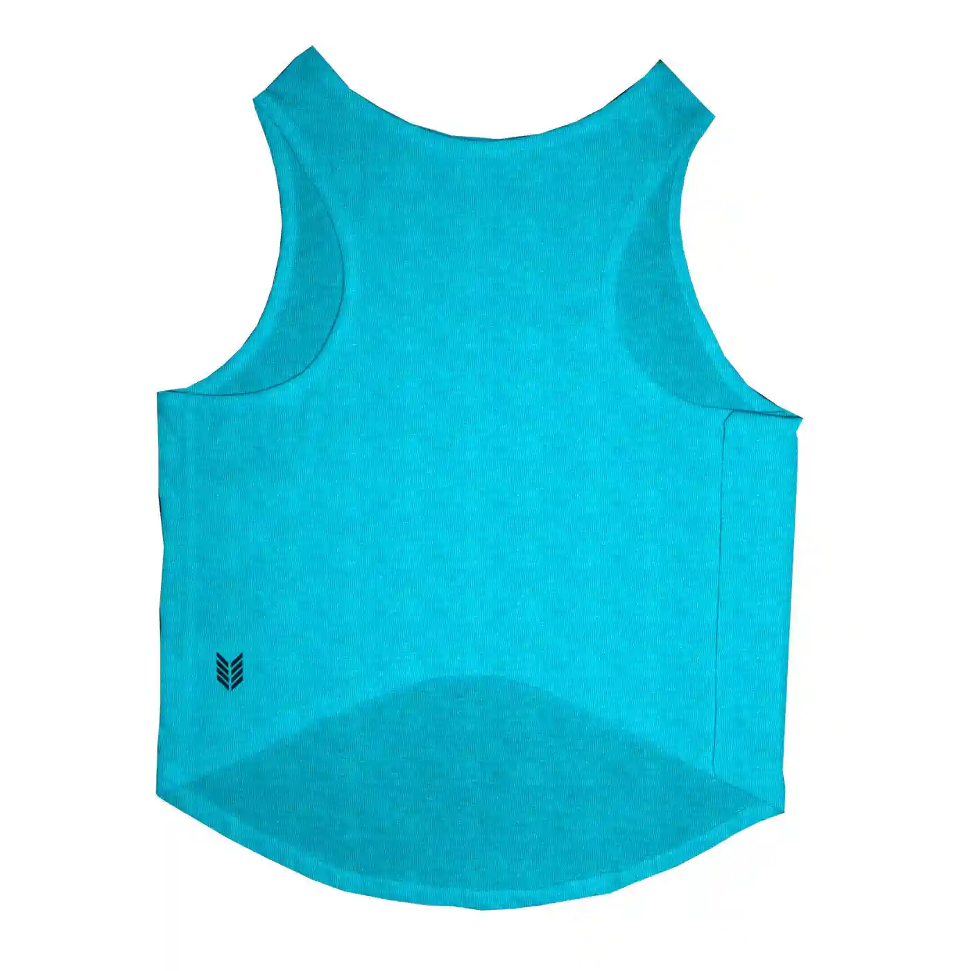 Ruse Let's Play Too Printed Dog Round Neck Vest Tank Tees For Dogs - Steel Blue