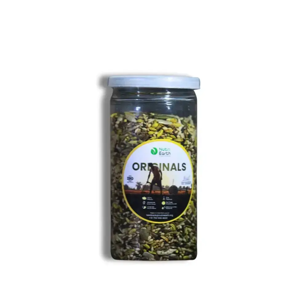 NutriEarth 7 Seeds Mukhwas