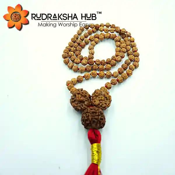 Rudraksha For Growth And Prosperity