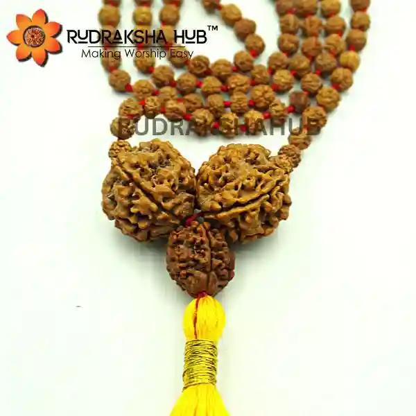 Rudraksha for Anxiety Issues