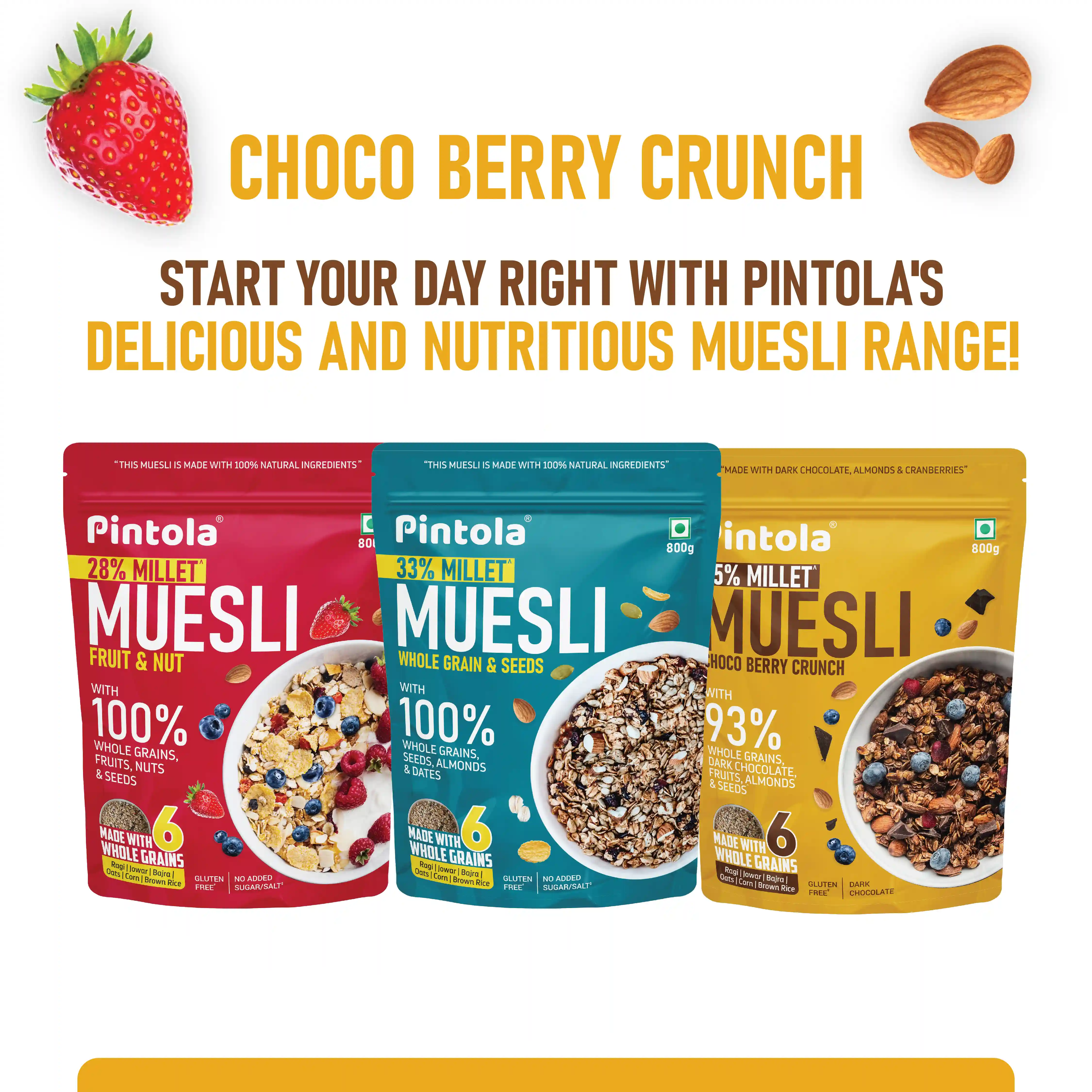 Pintola Dark Chocolate & Cranberry Muesli with 25% Millet & 60% Whole Grains (350g)