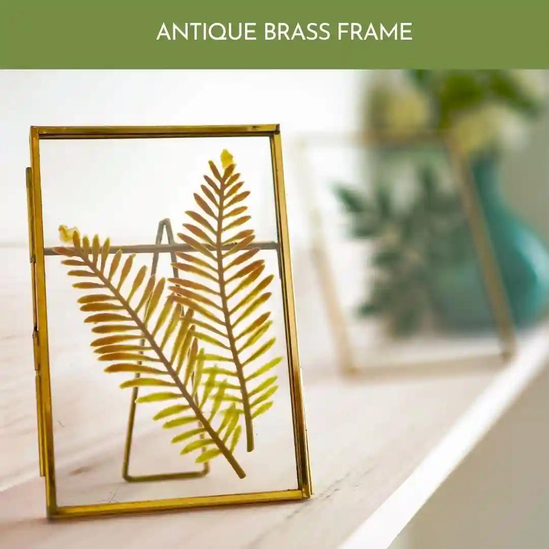 Behoma 4x6 Vintage Style, Brass & Glass Metal Floating Picture Frame with Locket Closure (Vertical)|Decorative Photo Frames for Home Decor, Table Decor, Gifting Purpose (4x6 Vertical, Antique Gold)