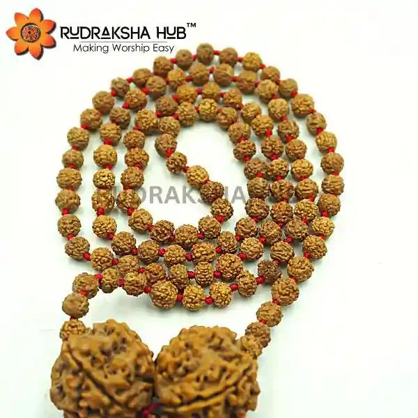 Rudraksha for Anxiety Issues