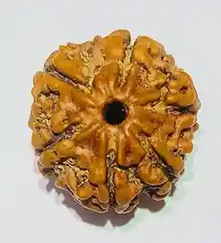 Rudraksha Beads Set, 6 Sided, 8mm, Authentic Rahu Gemstone, Small