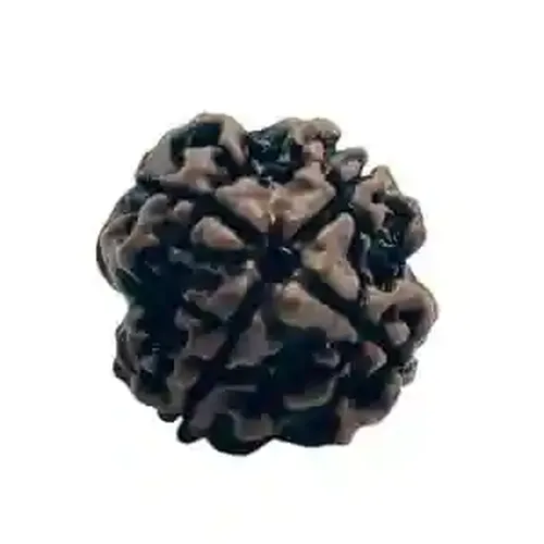 Sharvv 4 mukhi Rudraksha Bead Rudraksha Bead Natural Rudraksha Religious Rosary Bead | Positive Effect | Unisex Both for Men & Women