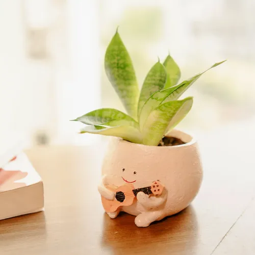 Artecasa The Jazzy Planter