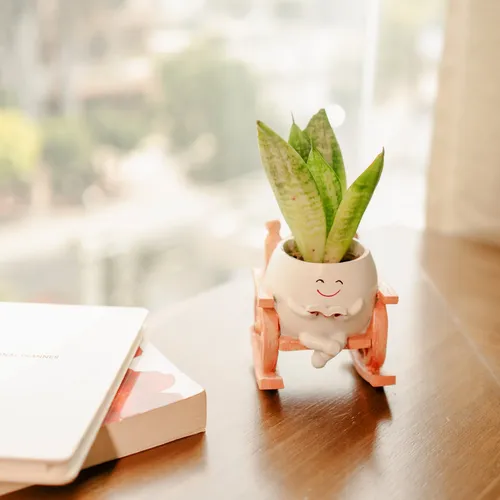 Artecasa Seat Of Stories Planter