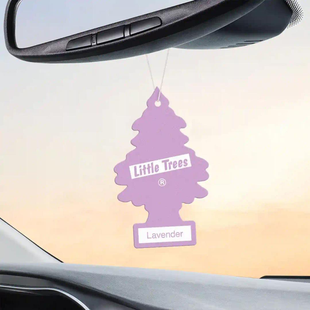 LITTLE TREES Car Freshener - Lavender (Pack of 3)