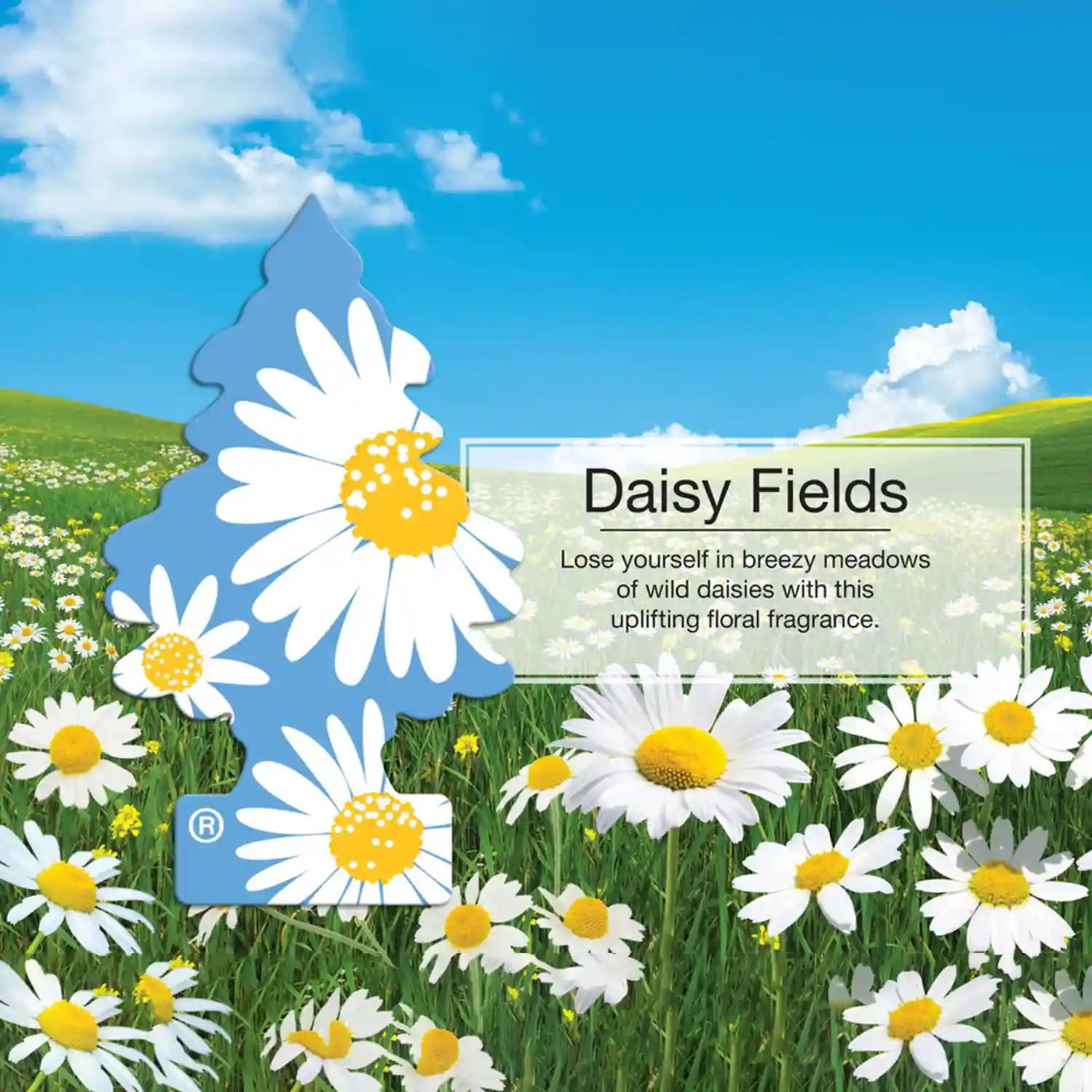 LITTLE TREES Car Freshener - Daisy Fields (Pack of 3)