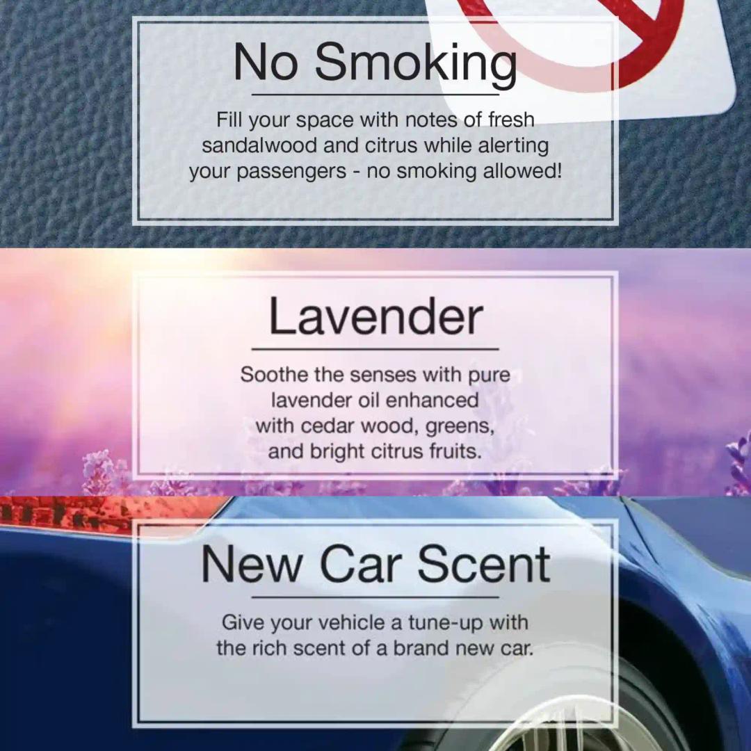 LITTLE TREES No Smoking Air|Fresh Lavender|New Car Scent|Hanging Trees|Combo of 3