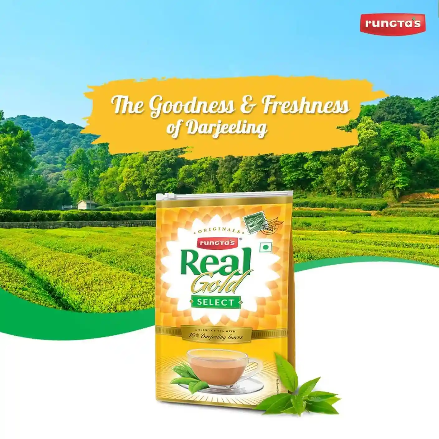 Rungtas Real Gold Select Tea Premium 1.5kg Pack | Strong blend of Darjeeling Ctc long leaves | Rich & Quality Kadak flavourful Chai
