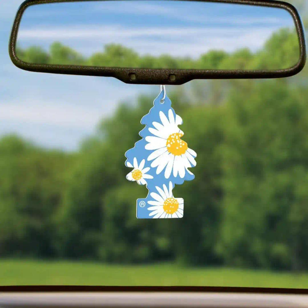 LITTLE TREES Car Freshener - Daisy Fields (Pack of 3)