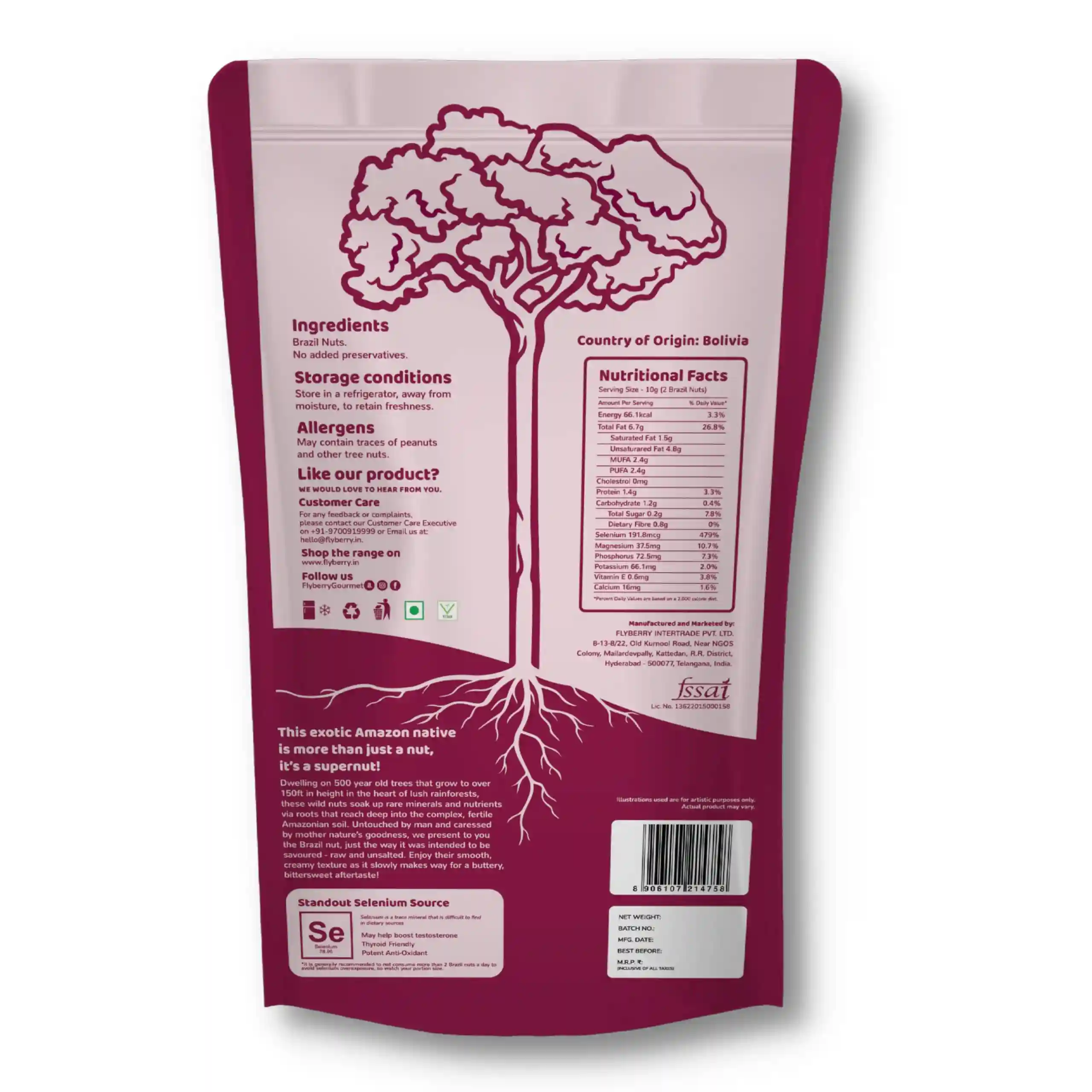 Flyberry Gourmet Jumbo Brazil Nuts, 100g | 100% Natural | Imported from Bolivia| Rich in Iron| Best for Cholesterol