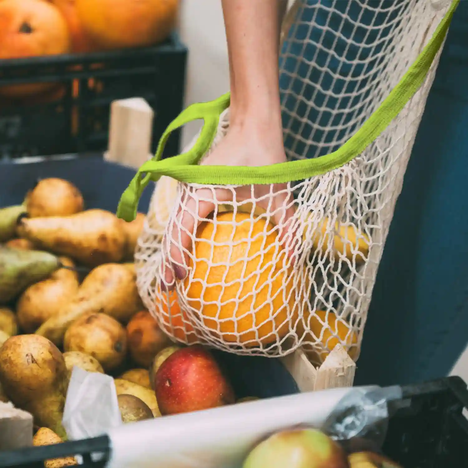 Eco Right Organic Cotton Mesh Bag, Reusable Net Bags for Vegetable Storage & Grocery Shopping