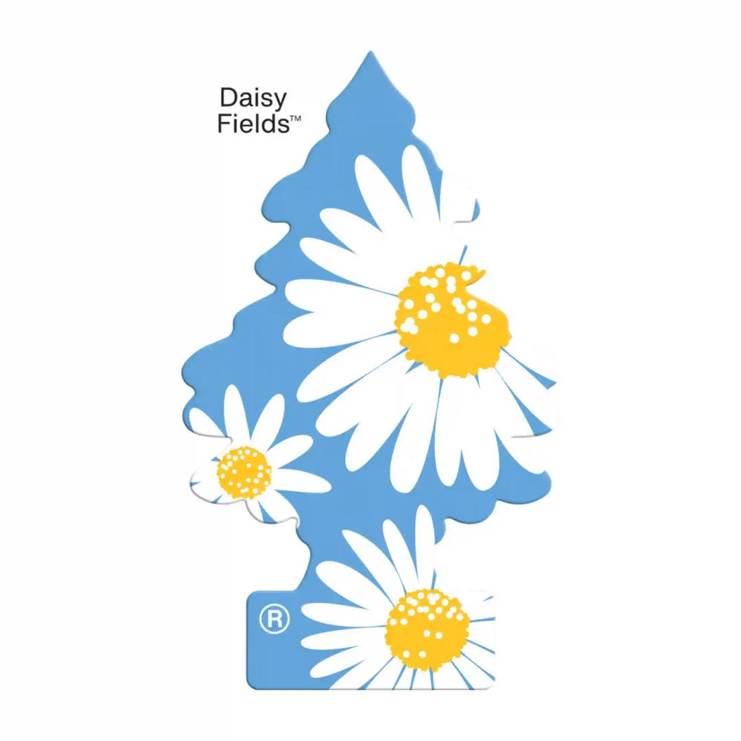 LITTLE TREES Car Freshener - Daisy Fields (Pack of 3)