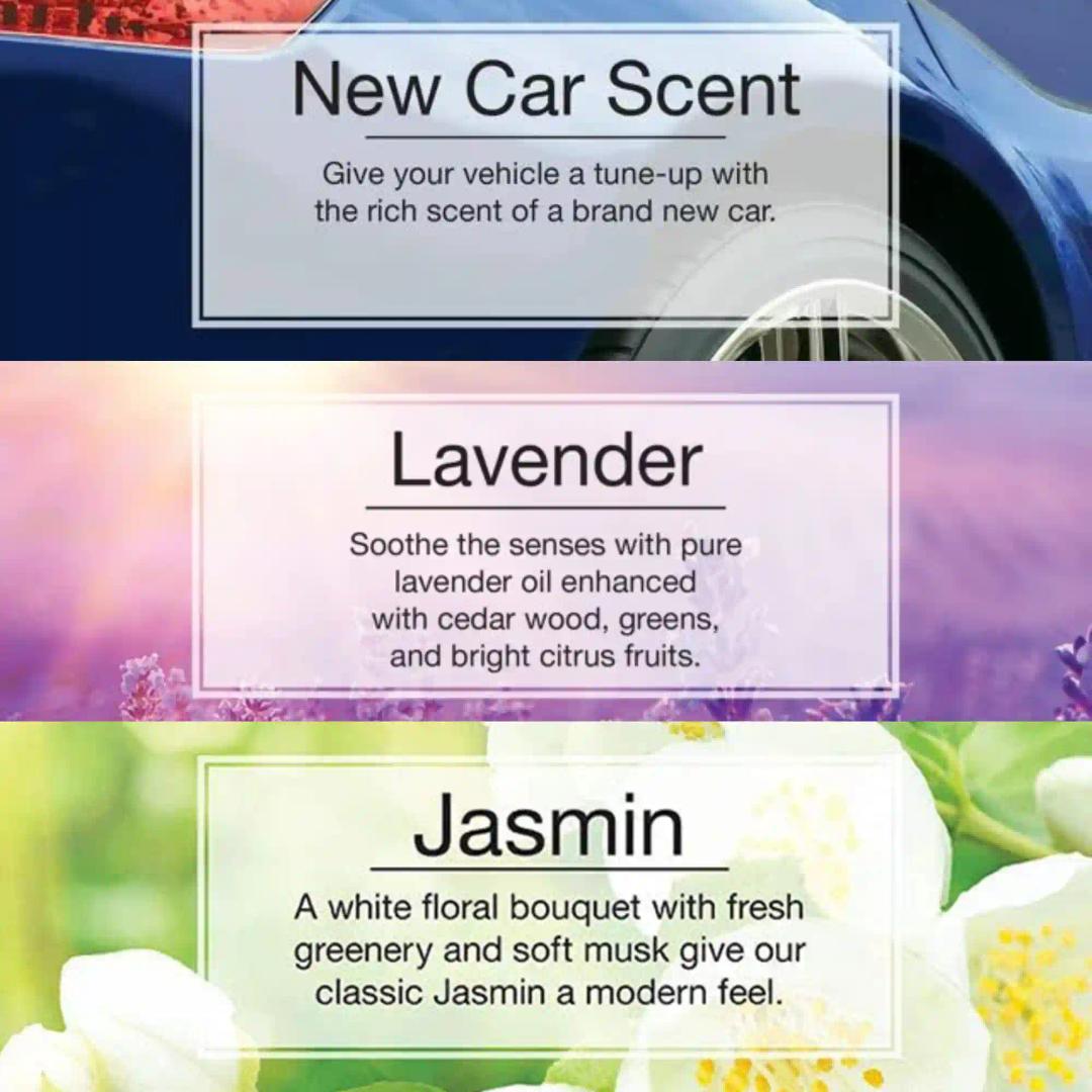 LITTLE TREES New Car Scent|Jasmin|Lavender|Hanging Trees|Combo of 3