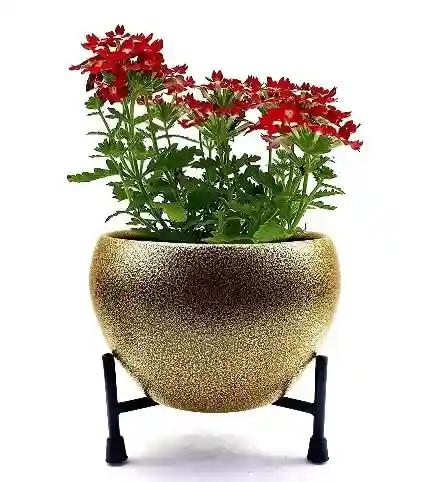 ‎AMASS HANDICRAFTS Metal Decorative Apple Shape Table Top Planter/Flower Pot/Container with Iron Stand for Home & Garden Décor,and Balcony Plant Pot with Rustfree Stand (Mat Gold)