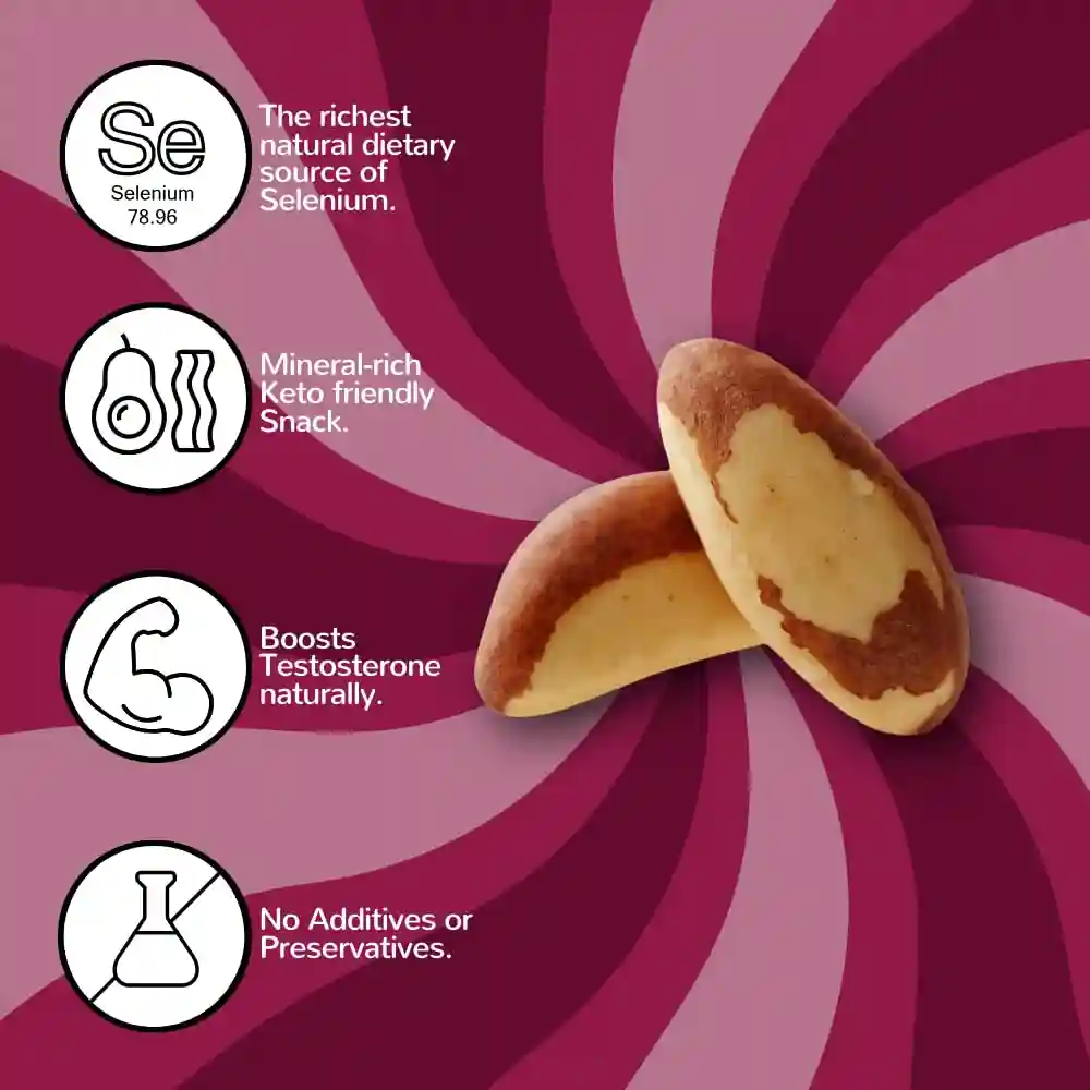Flyberry Gourmet Jumbo Brazil Nuts, 100g | 100% Natural | Imported from Bolivia| Rich in Iron| Best for Cholesterol