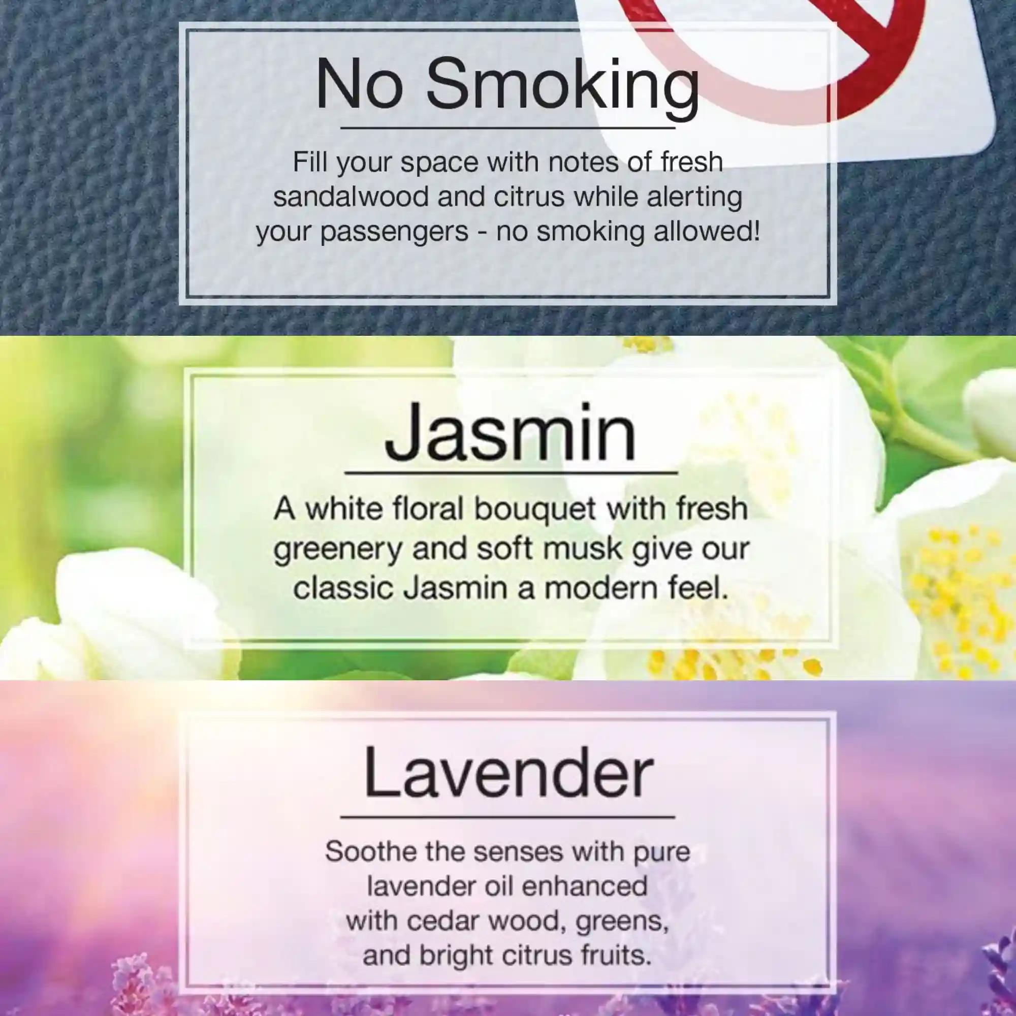 LITTLE TREES No Smoking Air|Fresh Jasmin|Fresh Lavender|Hanging Trees|Combo of 3