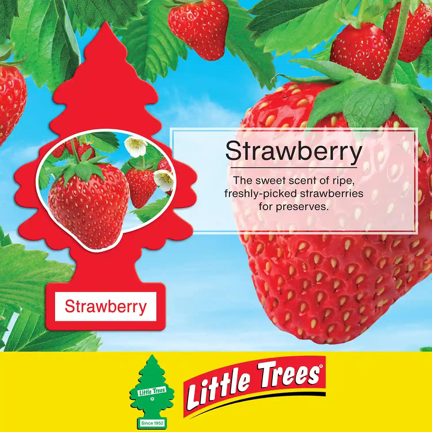 LITTLE TREES Car Freshener - Strawberry (Pack of 4)