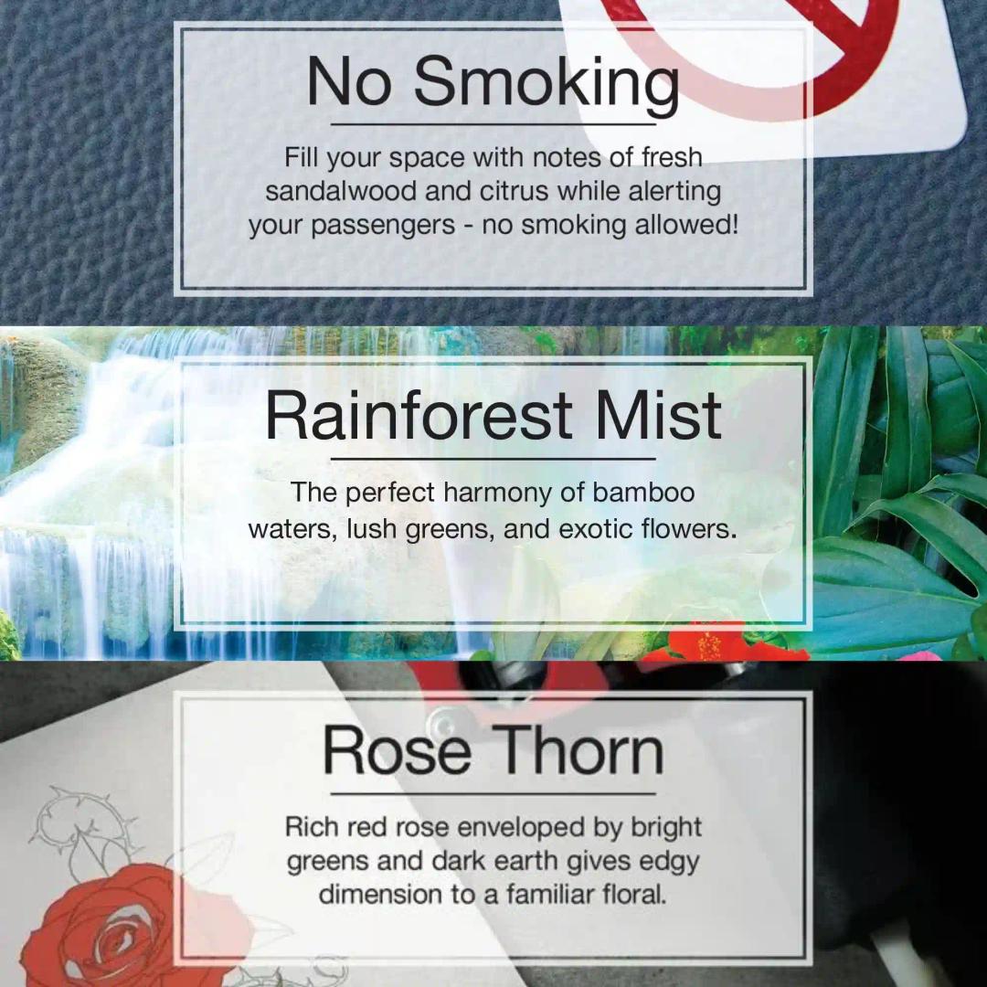 LITTLE TREES No Smoking Air|Rainforest Mist|Rose Thorn|Hanging Trees|Combo of 3