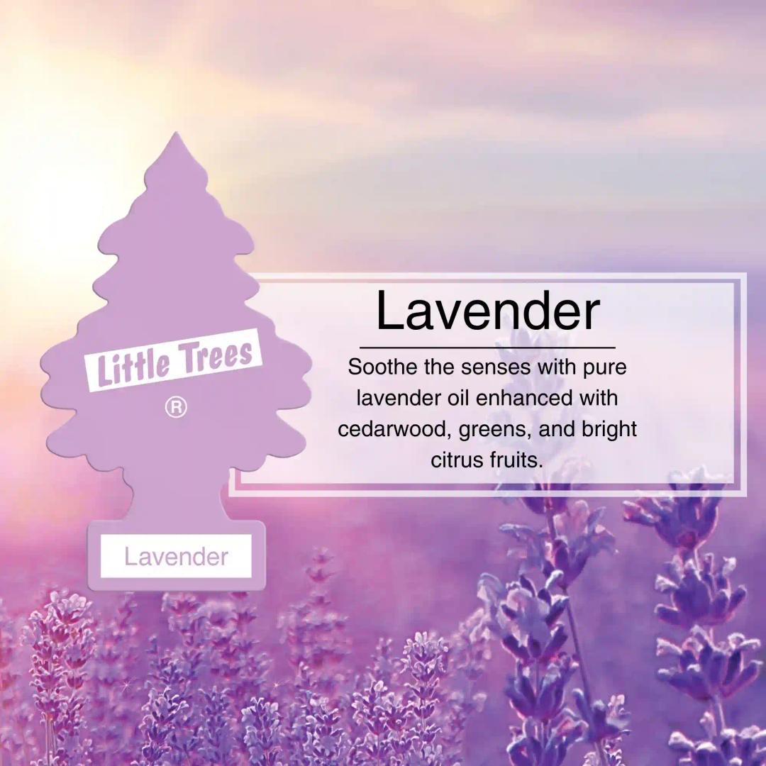 LITTLE TREES Car Freshener - Lavender (Pack of 3)