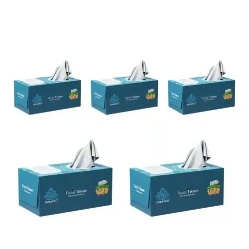 Shrayati Facial Tissue Box Soft Pack - 2 Ply, 100 Pulls Per Pack, Skin-Friendly, Highly Absorbent, Multipurpose Face Tissues in Decorative Tissue Box (Blue, Pack of 5)