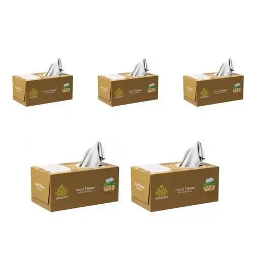 Shrayati Facial Tissue Box, 2 ply, 100 pulls, Pack of 5, (1000 Sheets), Multipurpose Face Tissues