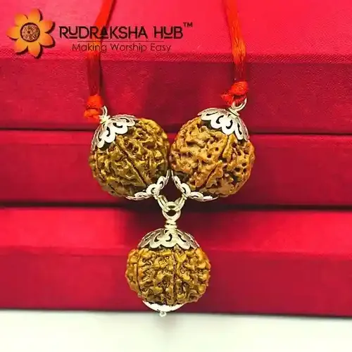 Rudraksha for Business Growth