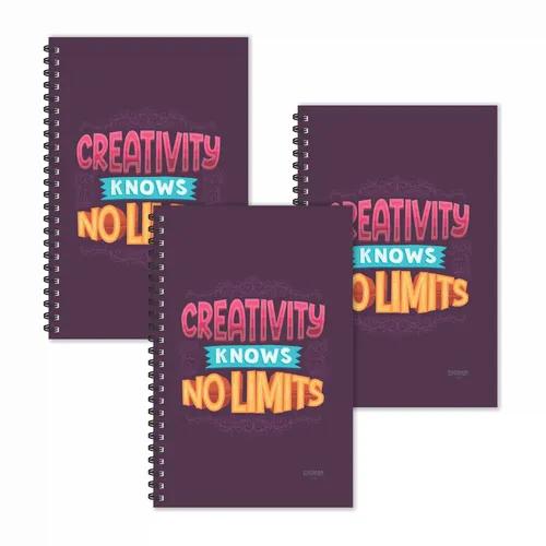 Creativity Knows No Limit Motivational Diaries - Pack Of 3