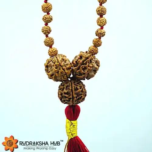 Rudraksha For Growth And Prosperity