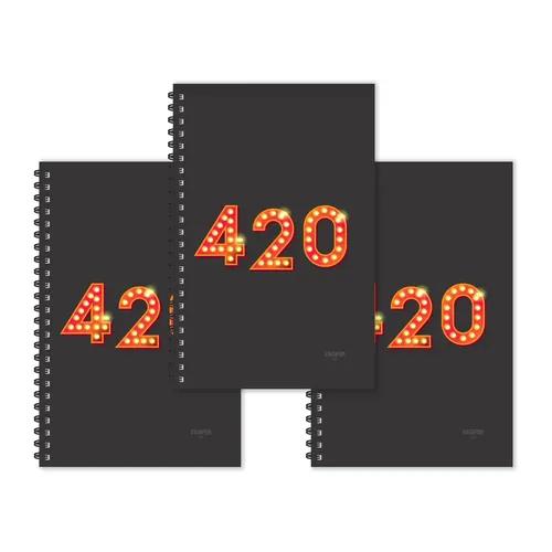 Number 420 - Numeric Ruled Diaries - Pack Of 3