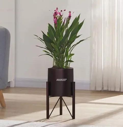 AMASS HANDICRAFTS Modern Metal Floor Flower Stands Planter for Living Room Bedroom Display Plant Stand Indoor - Outdoor Plant Stand with Planter Pot (Black)