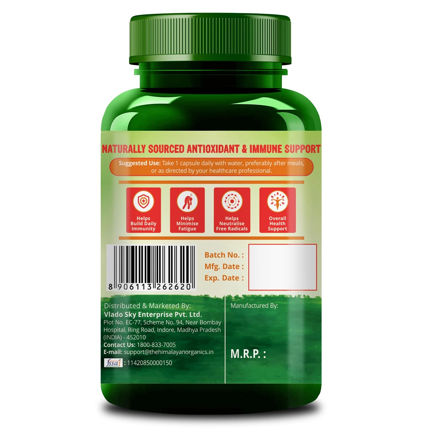 Himalayan Organics Plant Based Zinc with Vitamin C | Builds Immunity & Anti Inflammation || 120 Veg Capsules