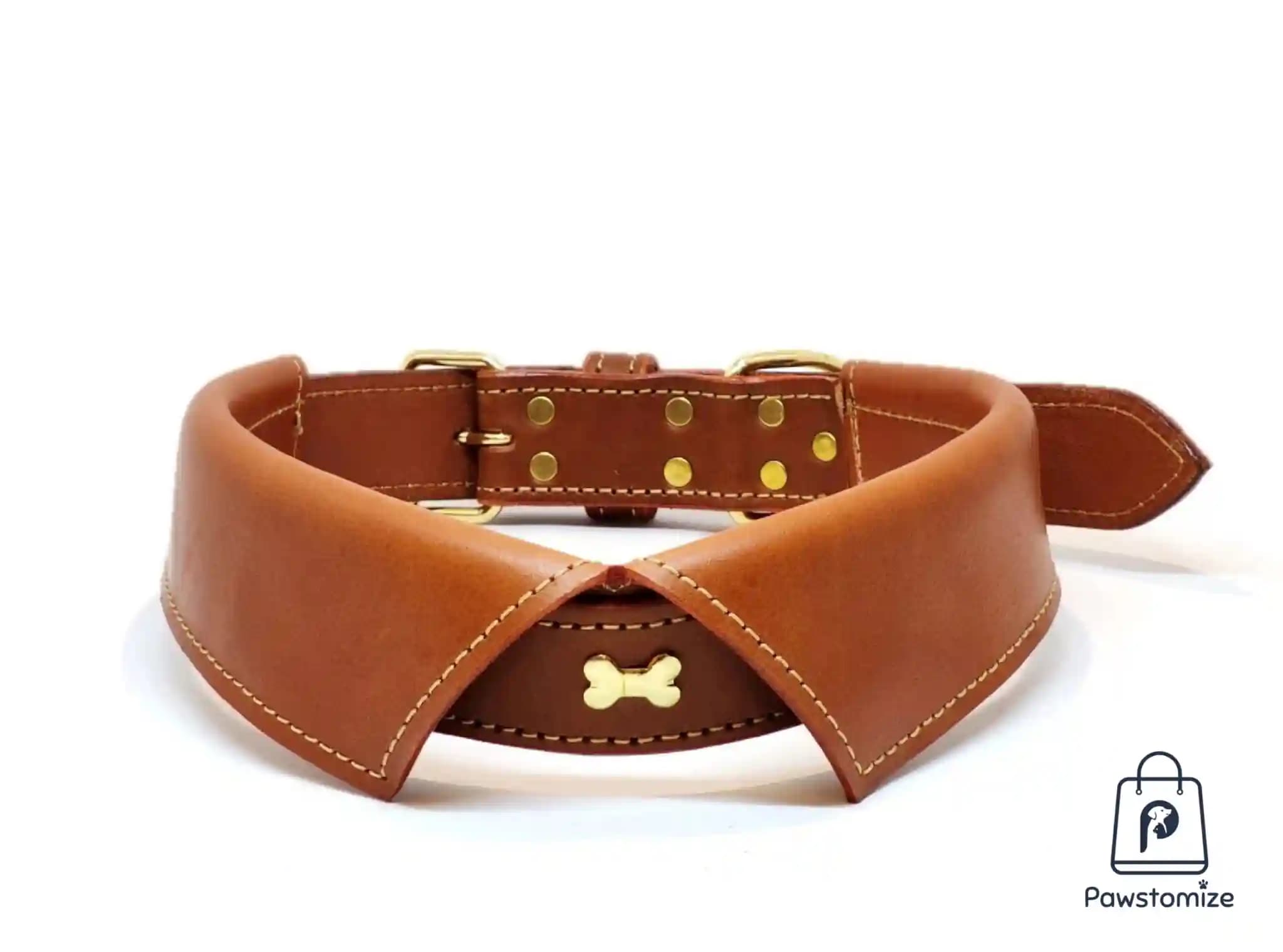 Pawstomize Leather Collar - Tan